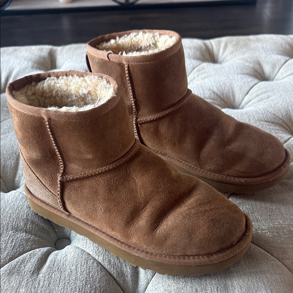 UGG Chestnut Suede Boots with Plush Lining